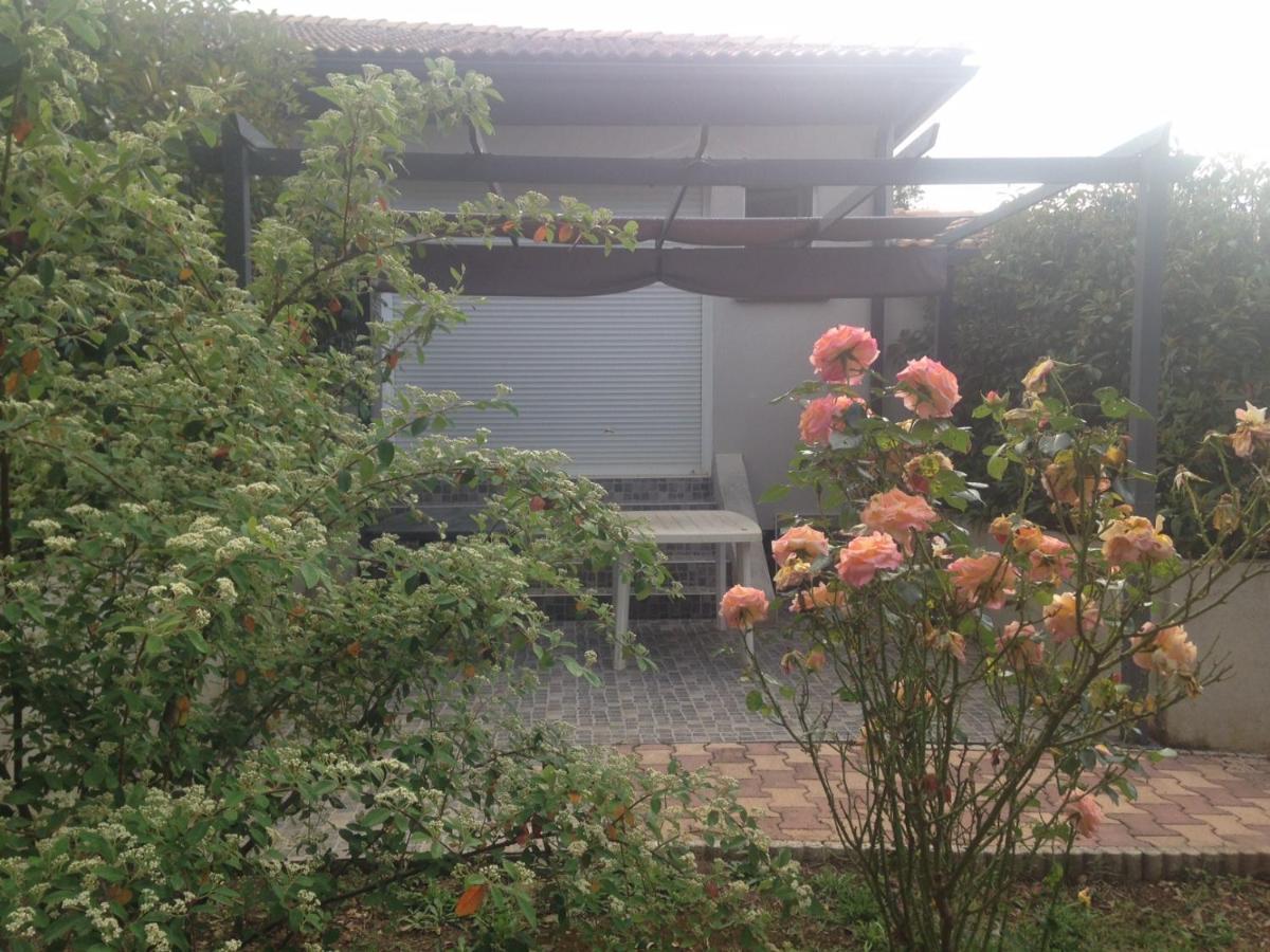 Cavone 2 Apartment Castellare-di-Casinca Exterior photo